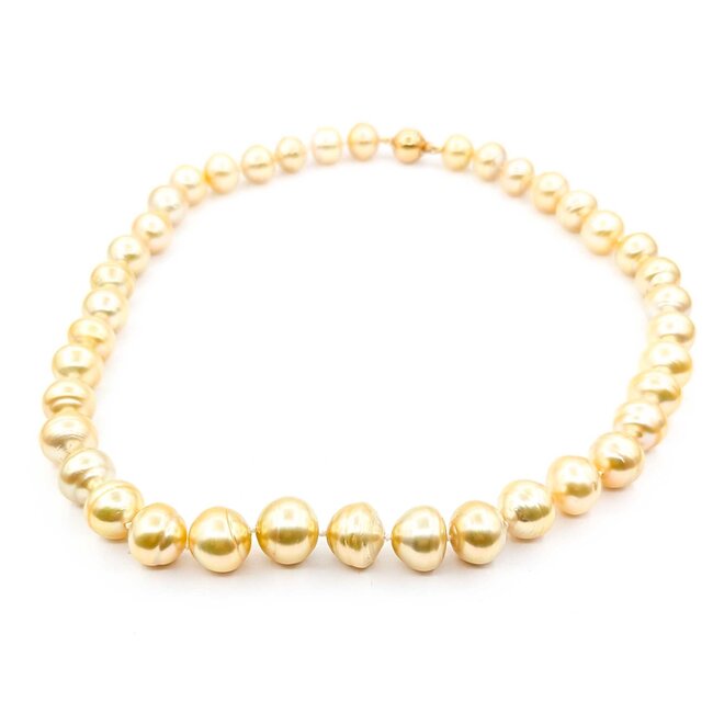 Necklace Strand 10-14mm Golden South Sea Pearls 14ky 18.5" 223010018