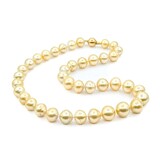  Necklace Strand 10-14mm Golden South Sea Pearls 14ky 18.5" 223010018