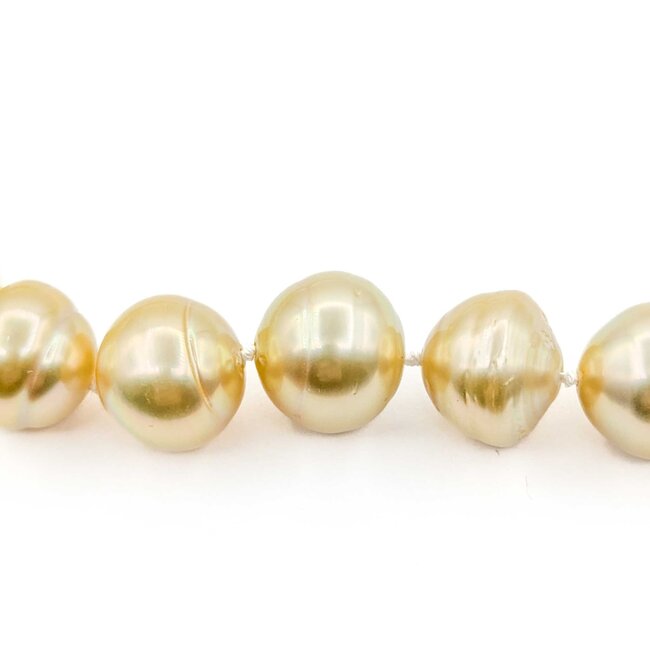 Necklace Strand 10-14mm Golden South Sea Pearls 14ky 18.5" 223010018
