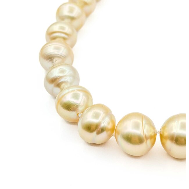 Necklace Strand 10-14mm Golden South Sea Pearls 14ky 18.5" 223010018