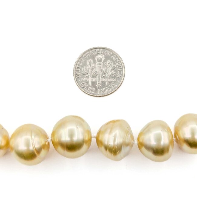 Necklace Strand 10-14mm Golden South Sea Pearls 14ky 18.5" 223010018