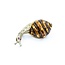 Brooch Mid-Century Snail .02ctw Rubies 18kw 1.5x.7" 9.02g 225010098