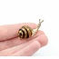 Brooch Mid-Century Snail .02ctw Rubies 18kw 1.5x.7" 9.02g 225010098
