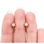 Earrings 6 Prong Screwback .25ctw Round Diamonds 18ky 1.59g 125030112