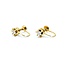 Earrings 6 Prong Screwback .25ctw Round Diamonds 18ky 1.59g 125030112
