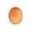 Pendant / Brooch 35mm x 27mm Cameo 14ky 7.68g 225040019