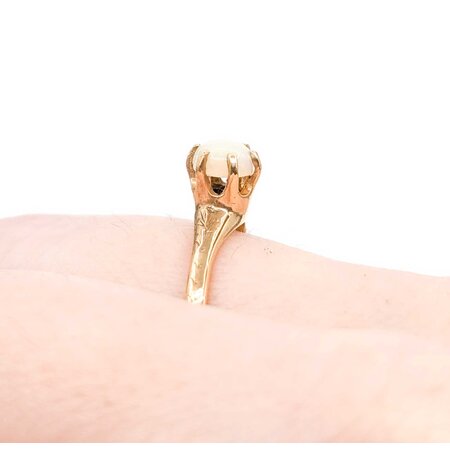 Ring Solitaire .40ct Cabochon Opal 10ky 2.25mm Sz7 2.1g 225040088