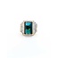 Ring .20ctw Round Diamonds 9.38ct Tourmaline 18ky Sz7 16.76g 225040116