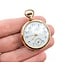 Pocket Watch Hampden 1909 Blue Numerals 225040146