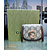 Crossbody Gucci Blondie Chain Wallet Canvas 125050054