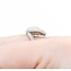 Ring Pave .60ctw Round Diamonds 18kw Sz6 5.97g 225050016
