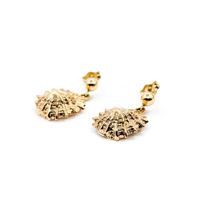 Earrings Shell Dangle 14ky 3.6g 225060038
