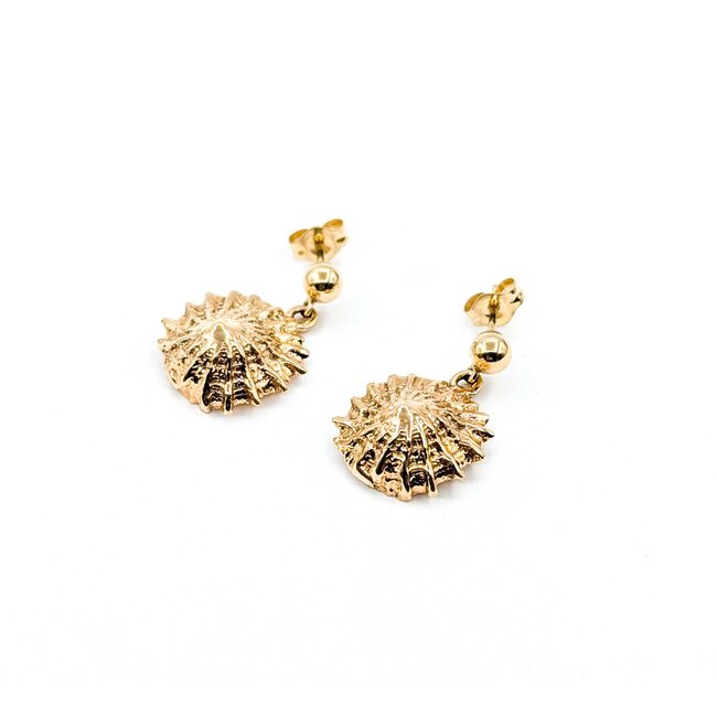 Earrings Shell Dangle 14ky 3.6g 225060038