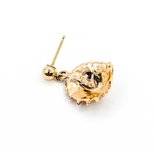 Earrings Shell Dangle 14ky 3.6g 225060038