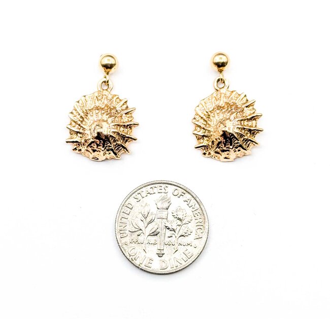 Earrings Shell Dangle 14ky 3.6g