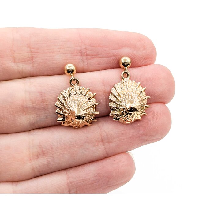 Earrings Shell Dangle 14ky 3.6g 225060038