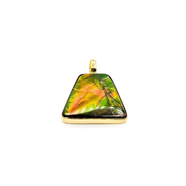 Pendant Bezel Freeform Ammolite 18ky 28.5x22.5mm 4.7g 225070127