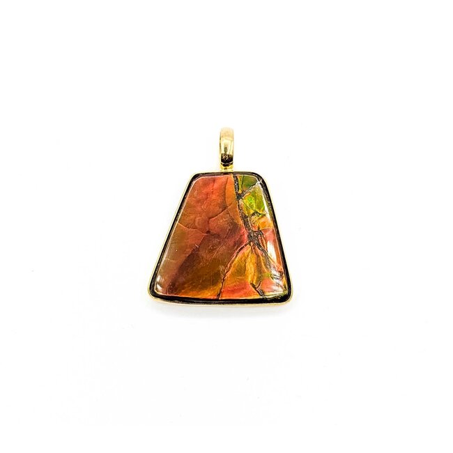 Pendant Bezel Freeform Ammolite 18ky 28.5x22.5mm 4.7g 225070127