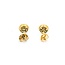 Earrings Bezel Set .04ctw Round Diamonds 14ky 8mm 1.6g 225070099