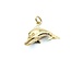 Pendant Dolphin 14ky 19.75x17 4.87g 225072053