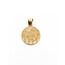 Pendant Virgin Mary Medallion 14ktt .75x.75" 1.94g 125092010