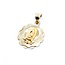 Pendant Virgin Mary Medallion 10ky 1x.75" 1.51g 125092018