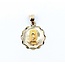 Pendant Virgin Mary Medallion 10ky 1x.75" 1.51g 125092018