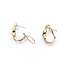 Earrings .25ctw Round Diamonds 14ky 6.5x18mm 4.55g 225090008