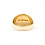 Ring BHG 10ktt 14.5mm Sz10 8.00g 225092002