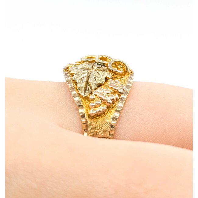 Ring BHG 10ktt 14.5mm Sz10 8.00g 225092002