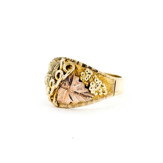 Ring BHG 10ktt 14.5mm Sz10 8.00g 225092002