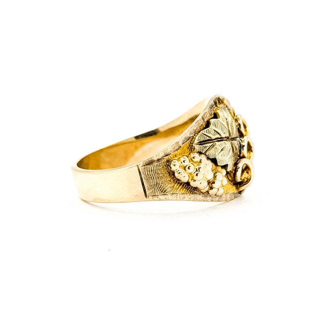 Ring BHG 10ktt 14.5mm Sz10 8.00g 225092002