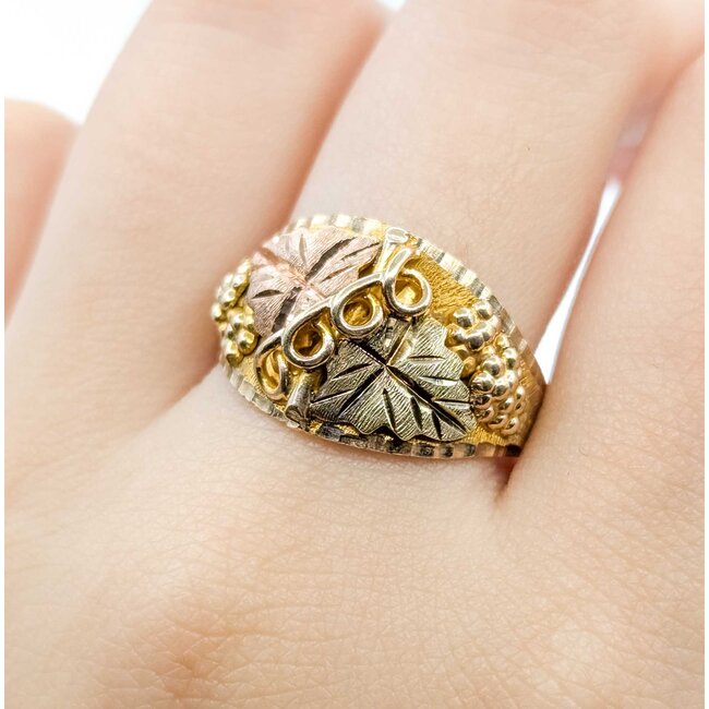 Ring BHG 10ktt 14.5mm Sz10 8.00g 225092002