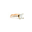Ring 1.50ct Cut-Cornered Square Modified Brilliant Diamond GIA 6157639110 .50ctw Diamonds 14kr 2.3mm Sz4.5 2.93g 225090044