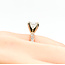 Ring 1.50ct Cut-Cornered Square Modified Brilliant Diamond GIA 6157639110 .50ctw Diamonds 14kr 2.3mm Sz4.5 2.93g 225090044
