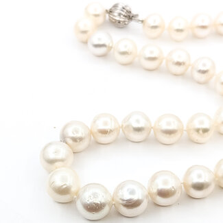 Necklace Strand 11-13mm South Sea Pearl 14kw 18" 87.3g 225100114
