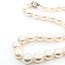 Necklace Strand 11-13mm South Sea Pearl 14kw 18" 87.3g 225100114