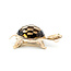 Brooch Turtle 24x18mm Smokey Quartz 14ky 1.9x.9" 11.56g 225100166
