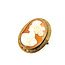 Pendant Cameo 14ky 36mm 8.5g 225100008