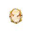 Brooch Deco Revival Cameo 1.1x.9" Shell 10ky 1.4x1.2" 5.59g 225100076