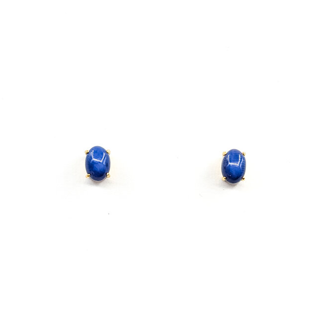 Earrings Stud 2.00ctw Blue Star Sapphire 14ky 7x5mm 1.97g 225100077