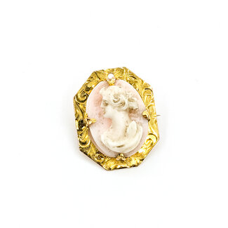 Brooch Cameo .6x.4" Shell 10ky .75x.55" 1.79g 225100081