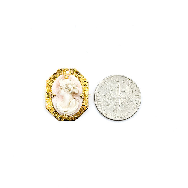 Brooch Cameo .6x.4" Shell 10ky .75x.55" 1.79g 225100081