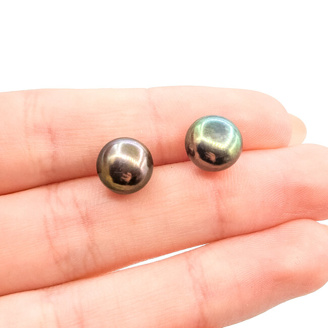 Earrings Stud 10mm Tahitian Pearl 14ky .5" 2.23g 225110056