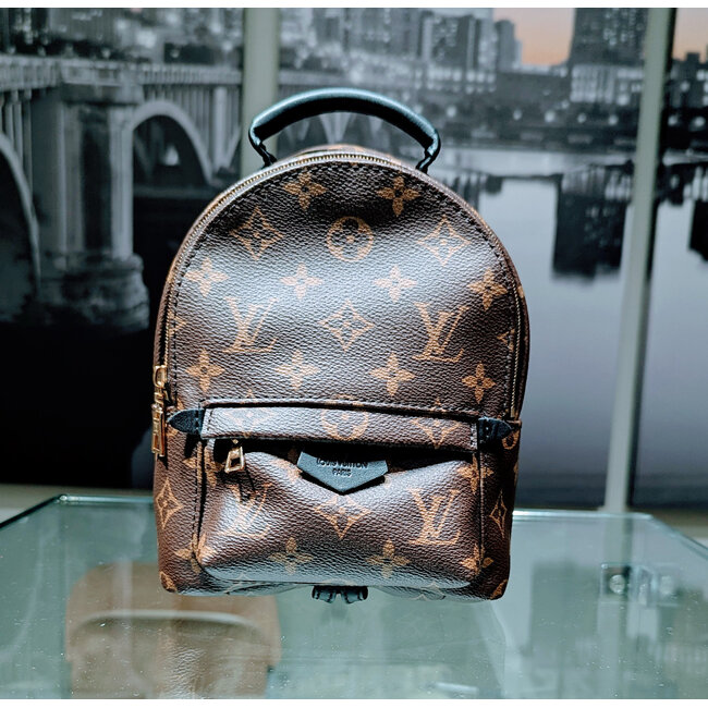 Backpack Louis Vuitton Palm Springs Monogram Mini 125115058