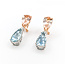 Earrings Omega Back Drop .30ctw Round Diamonds 9.35ctw Morganite 11.07ctw Aquamarine 14kr & Plat 1.6x.4" 15.7g 225110108