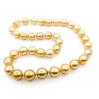 Necklace 10-12mm Golden Pearl 14ky 12mm 18" 69.1g 225110115