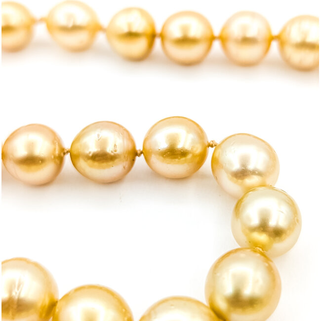 Necklace 10-12mm Golden Pearl 14ky 12mm 18" 69.1g 225110115