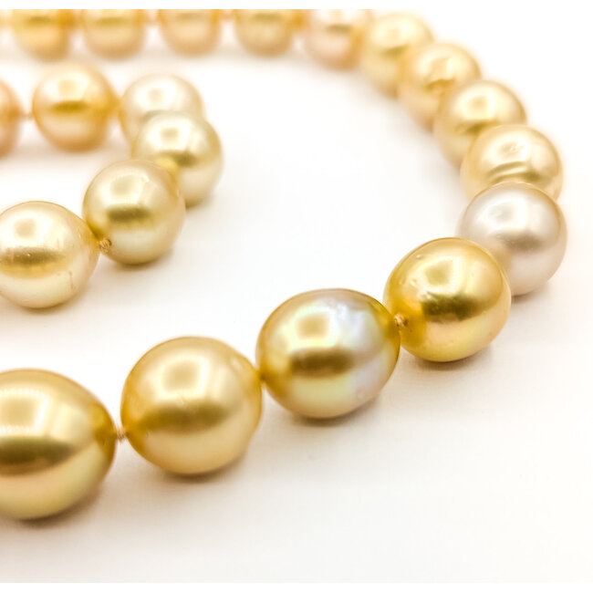 Necklace 10-12mm Golden Pearl 14ky 12mm 18" 69.1g 225110115