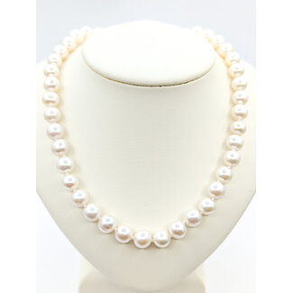 Necklace 7mm FWP Pearl 14ky 18" 125110103